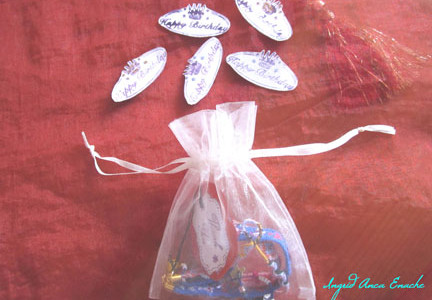 Our gift : an organza bag